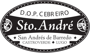santo-andre-logo